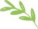 leaves-free-img